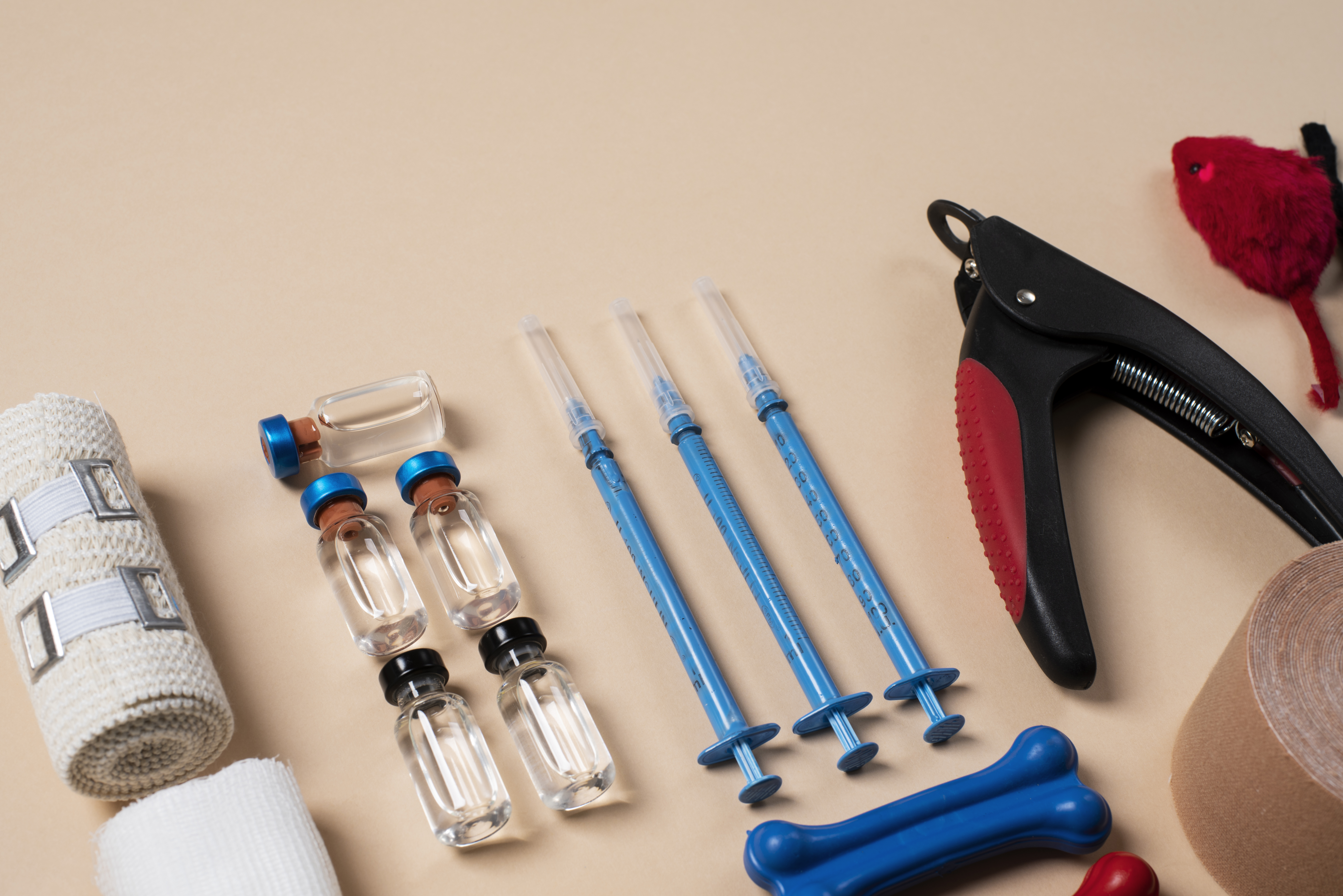 Orthopedic Equipment & Supplies